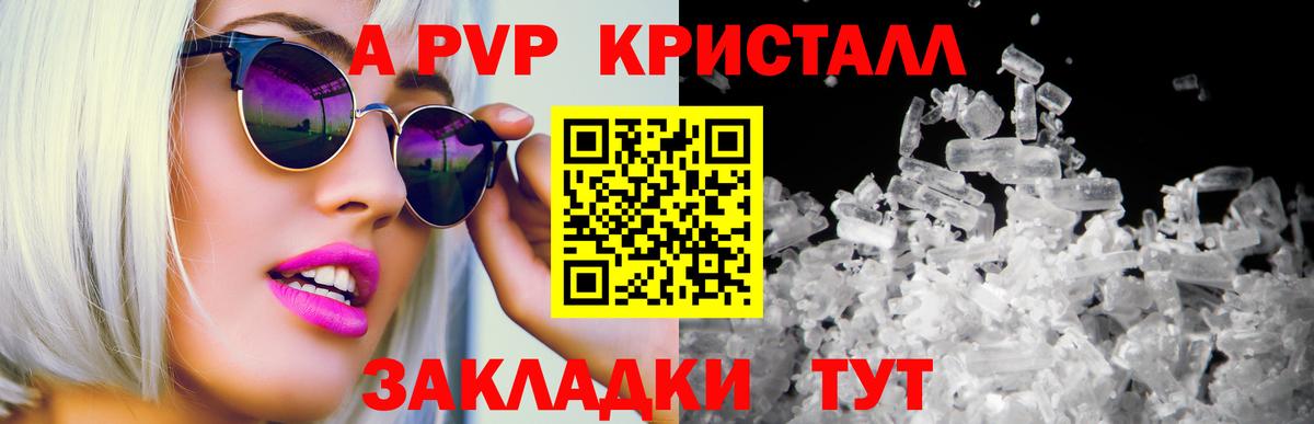 A PVP СК Асино