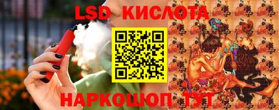 шишки Аргун
