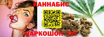 шишки Аргун