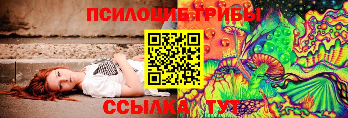 Асино  Псилоцибиновые грибы Psilocybine cubensis  Вход с VPN 